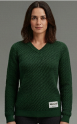 Capture d'écran 2026-02-09 130614