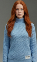 Capture d'écran 2026-02-09 130635